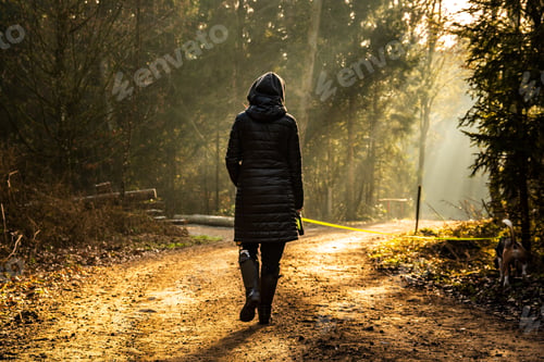 Preview: Girl in sun rays walking with beagle dog on leash in forest path
