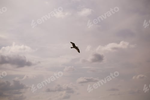 Preview: Sky With Clouds Over The Sea Early Morning Background Image