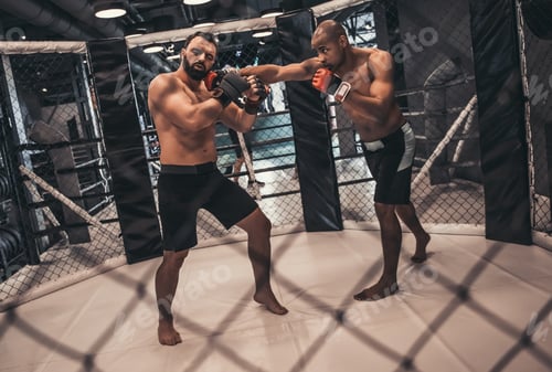 Preview: Wrestlers in the ring