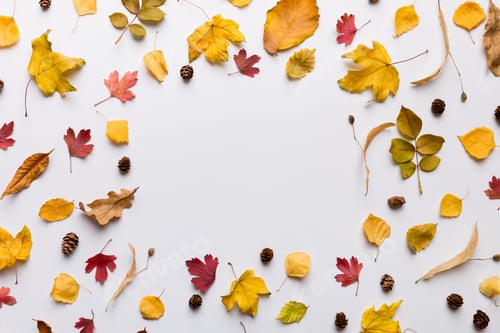 Preview: Autumn composition made of dried leaves, cones and acorns on table. Flat lay, top view