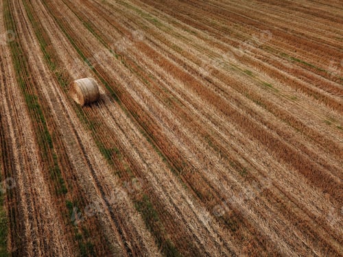 Preview: An aerial view of the hay bales fields