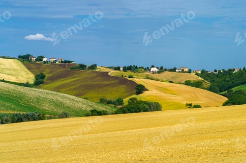 Preview: Rural landscape near Ostra Vetere and Cingoli, Marche, Italy