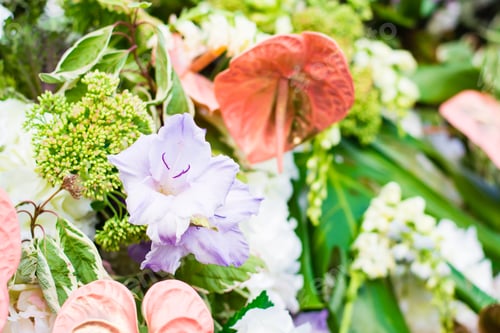 Preview: Beautiful floral background. Festive bouquet of various flowers