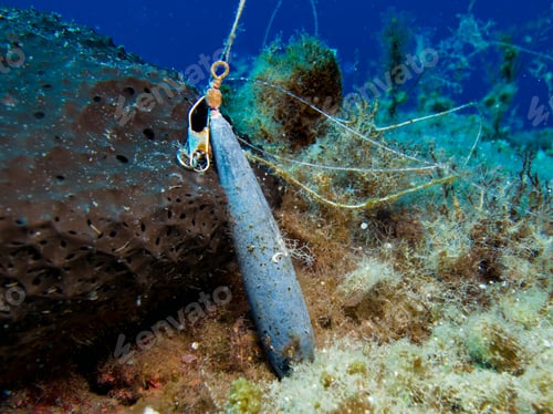 Preview: Lead sinker polluting the sea