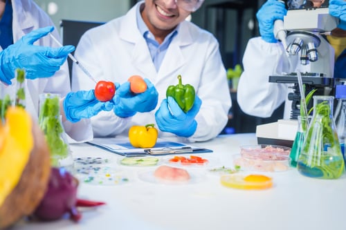 A male scientist and two women conduct plant research in a laboratory. microscopes, petri dishes