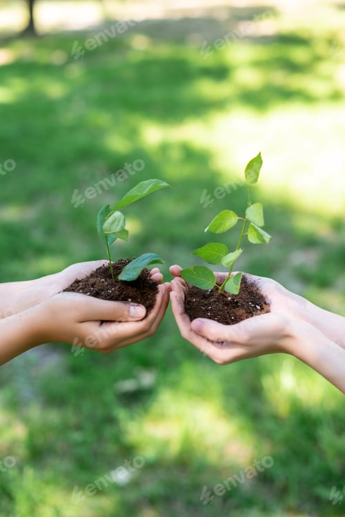 Preview: cropped view of girls holding ground with seedlings in hands
