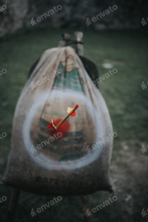 Preview: Vertical shot of wooden arrow stuck in the archery target bag