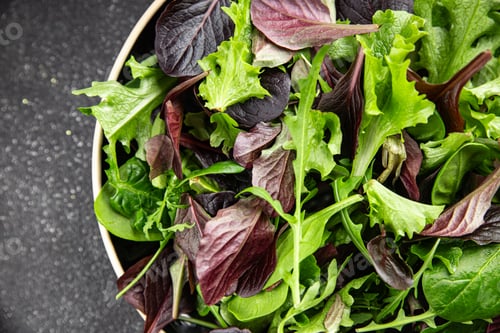 Preview: Fresh salad leaves mix salad juicy healthy snack micro greens, arugula, lettuce, oak leaf salad