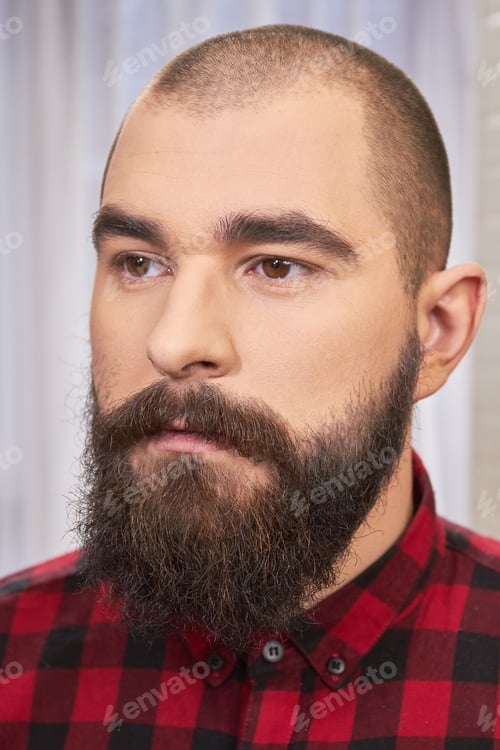 Preview: Portrait of young bearded man