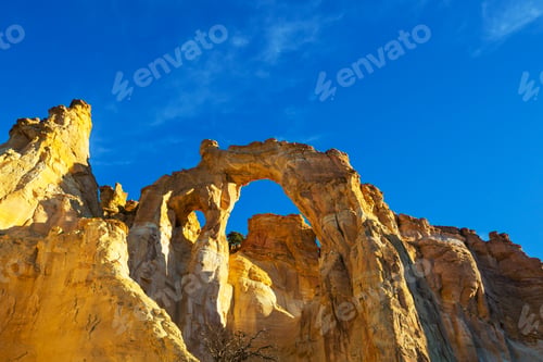 Preview: Grosvenor Arch