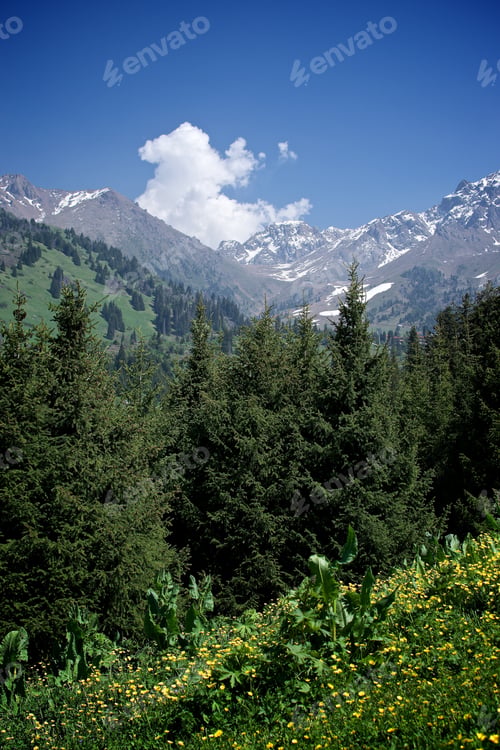 Preview: Beautiful landscape of summer mountains