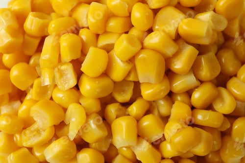 Preview: Tasty canned corn on whole background, close up