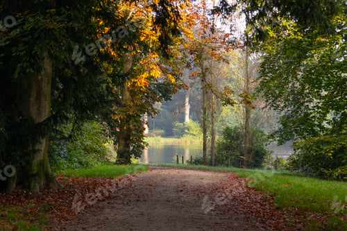 Preview: Walking path with autumn atmosphere in the park outdoors