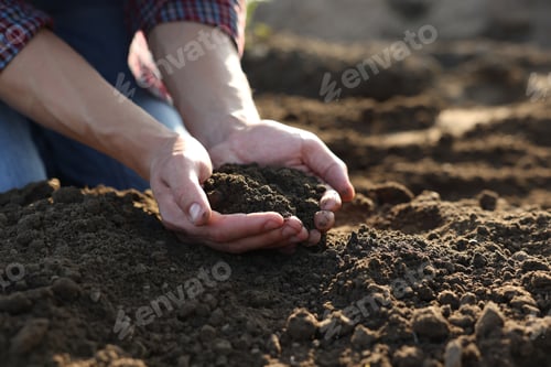 Preview: Man holding pile of soil in field, closeup