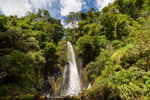 Preview: Waterfall in jungle