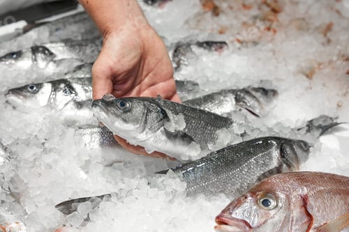 Preview: salmon in the fish market
