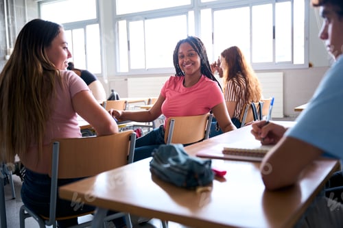 Visualização: Grupo de estudantes universitários em uma sala de aula. Garota afro-americana olha para a câmera