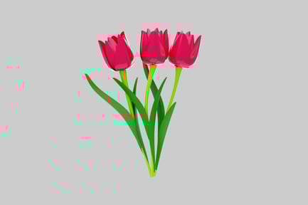 Preview: Three tulips floral arrangement design
