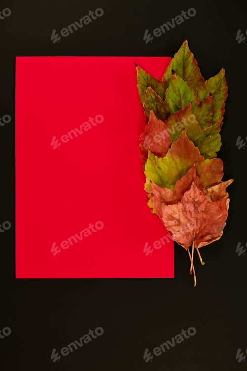 Preview: Autumn leaves on a black background with a red space for a text