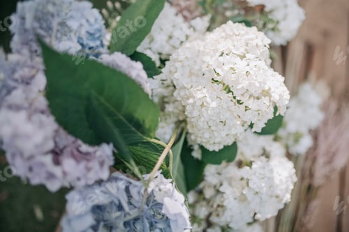 Preview: accessory air angelic arms attractive authentic azure beautiful beauty beige blooming blue break bre