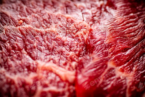 Preview: Raw beef pulp. Macro background. Beef texture.