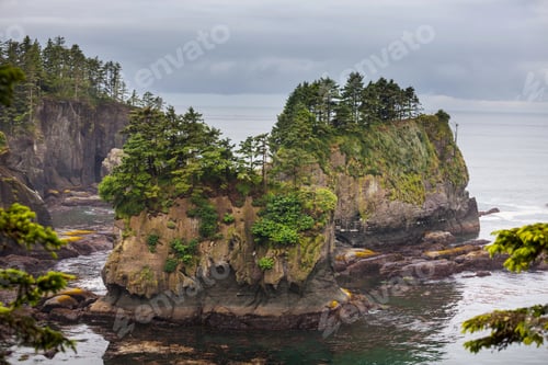 Preview: Olympic coast