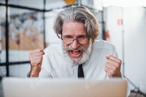 Preview: Expressive mature businessman with grey hair and beard in formal clothes is in the office