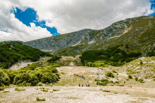 Preview: Photo of a beautiful nature, all green.