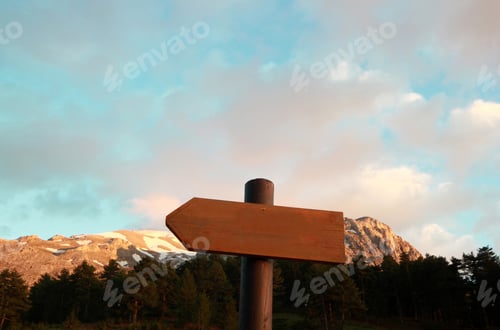 Preview: warning sign in pine forest