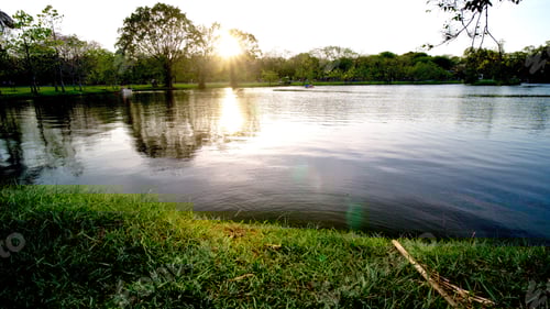Visualização: Luz solar refletindo na superfície do rio no parque