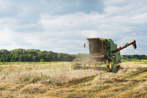 Preview: Harvest. Combine harvester harvesting ripe wheat. Agriculture. Grain shortage problems