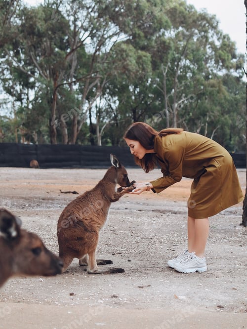Preview: Woman in the reserve is playing with a kangaroo