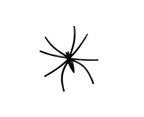 Preview: Black spider isolated on white background