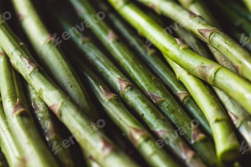 Preview: Fresh green spring asparagus. Asparagus season