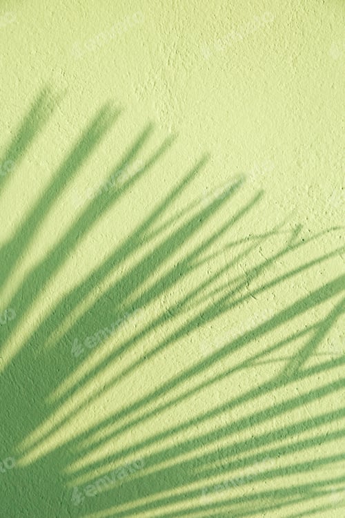 Preview: Unfocused palm tree leaf's shadows on green turquoise blue stucco wall.