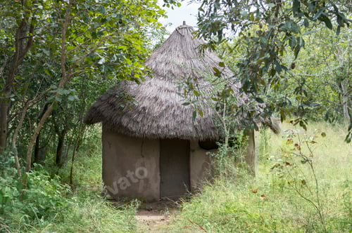 Preview: Rural African hut in south africa nature
