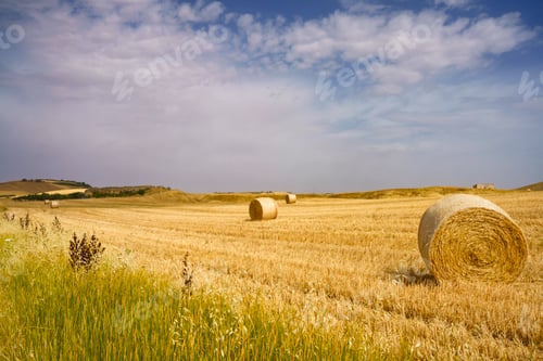 Preview: Country landscape near Matera and Gravina di Puglia
