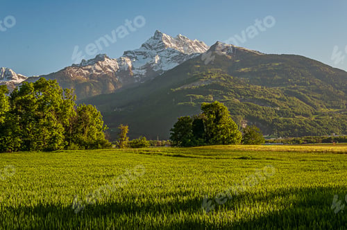 Preview: Beautiful scenery of Dents du Midi mountains surrounded by greenery in Valais, Switzerland