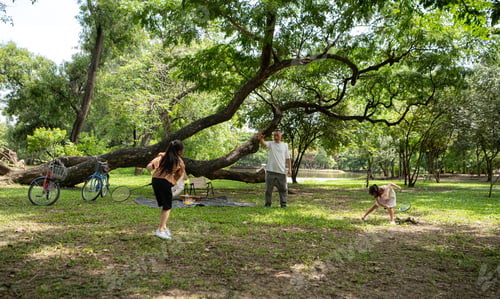 Preview: Happy Asian grandparents enjoying a picnic with their granddaughter in a green park