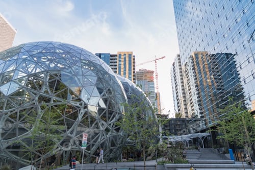 Preview: Amazon World Headquarters Spheres terrarium greenhouse globe