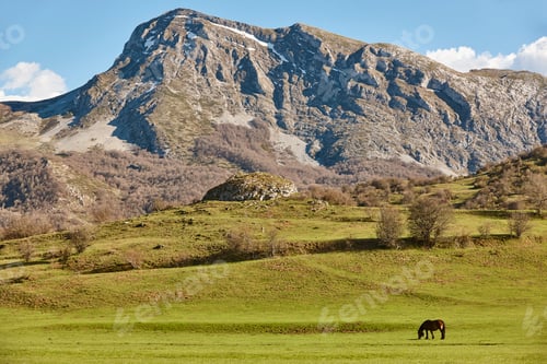 Preview: Horse in a green valley. Castilla y Leon mountain landscape