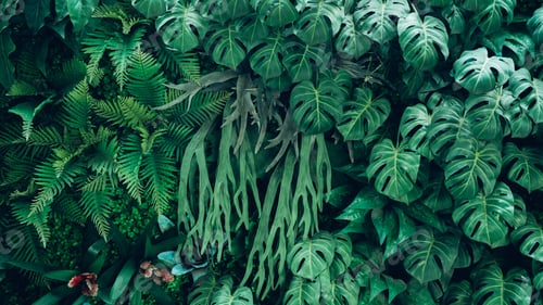 Preview: Group of background tropical green leaves texture. Natural green wallpaper and background.