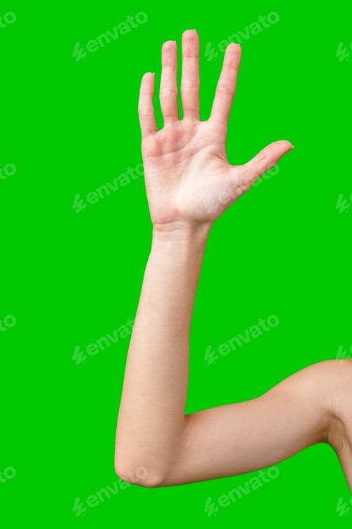 Preview: Woman's Right Arm Extended With Open Palm Against Green Screen