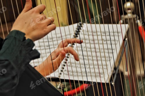 Preview: Harpist Fingers NOMINATED🙏🎶🙏