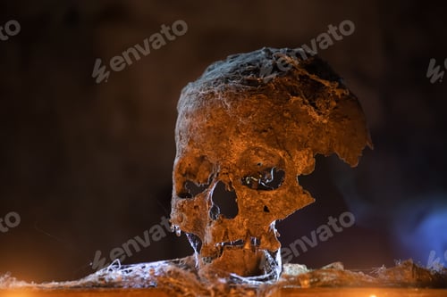 Preview: Scary grunge skull wallpaper. Halloween background.