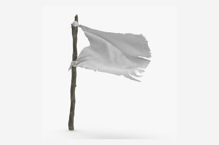 Tattered White Flag on Wooden Pole