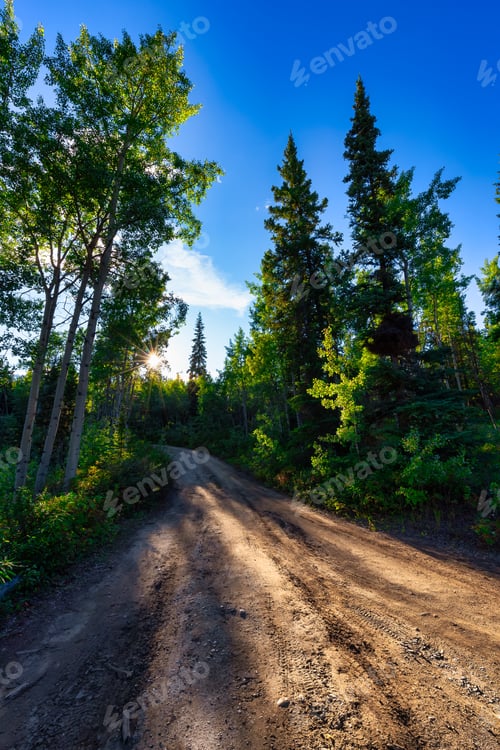 Preview: Dirt Road leading into the forest during a fall season