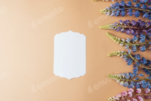 Preview: Blank card with lupine flowers on beige background