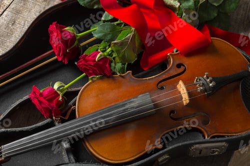 Preview: Red roses and a violin