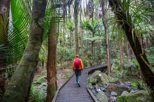 Preview: Tramping